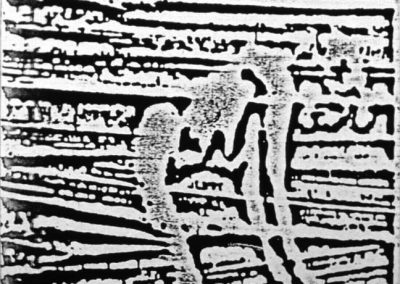 Mujer Velada 3, 1980