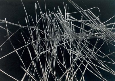 Fotografía, 1980
