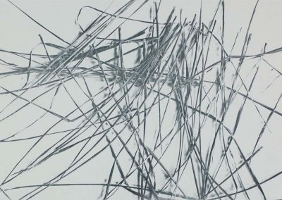 Para Fotografía, 1980