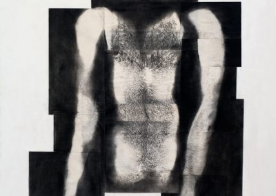 Autorretrato fragmentado, 1982