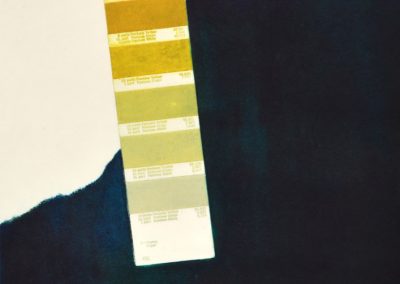 Pantone 1, 1991