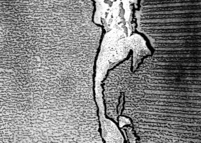 Homenaje a Muybrige 2, 1985