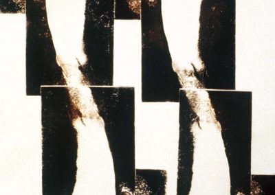 Mis Brazos, 1989 (detalle)