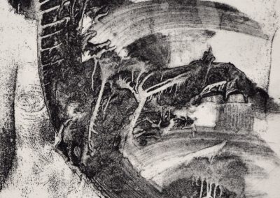 Mano B&N 7, 1985