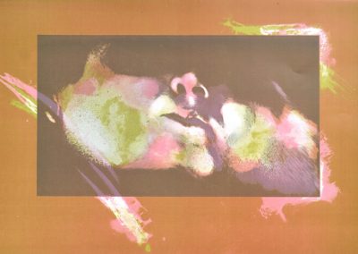 Autorretrato Color 3, 1987