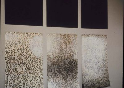 Serie no es reproducible solo repetible, 1989-1994