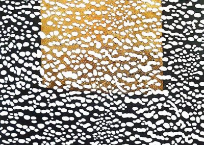 Serie, Inflexiones, reflexiones y disoluciones nº5, 1989-93