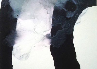 Serie, Inflexiones, reflexiones y disoluciones nº24, 1989-93