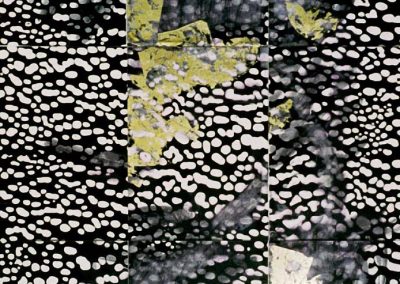 Serie, Inflexiones, reflexiones y disoluciones nº42, 1989-93