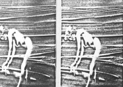 Mujer Velada 2, 1980