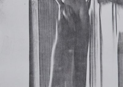 Modelo, 1980